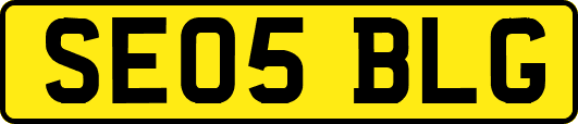 SE05BLG