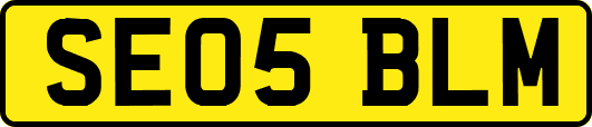 SE05BLM