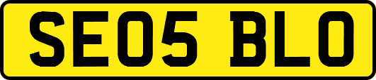 SE05BLO