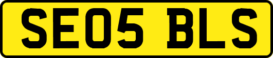 SE05BLS