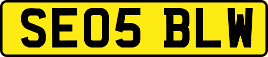 SE05BLW