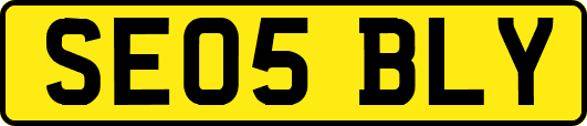 SE05BLY