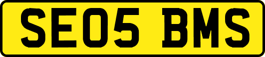 SE05BMS