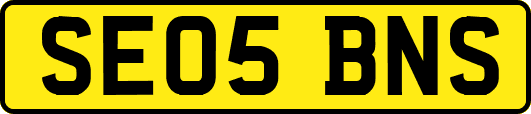 SE05BNS