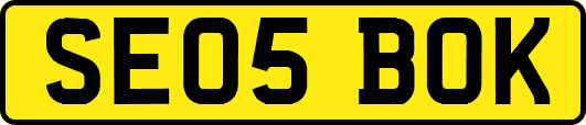 SE05BOK