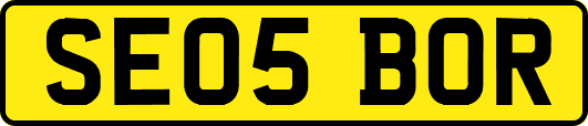 SE05BOR