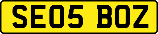 SE05BOZ