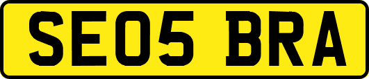 SE05BRA