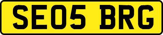 SE05BRG