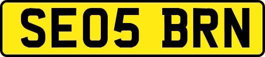 SE05BRN