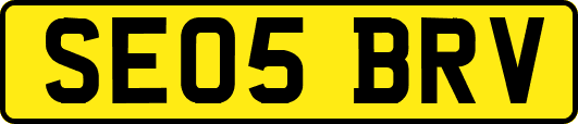SE05BRV