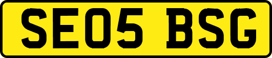 SE05BSG