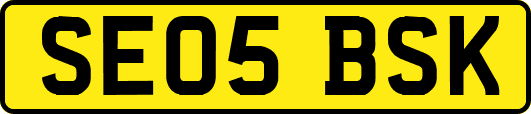 SE05BSK