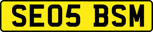 SE05BSM