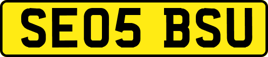 SE05BSU