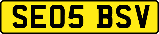 SE05BSV