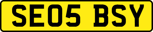 SE05BSY