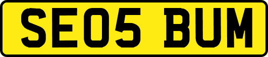 SE05BUM