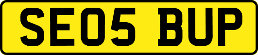 SE05BUP