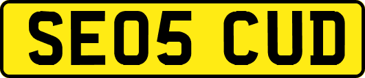 SE05CUD