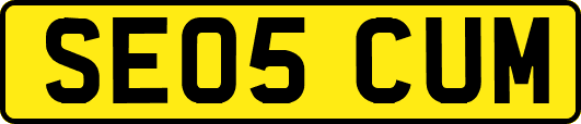 SE05CUM