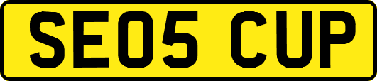 SE05CUP