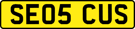 SE05CUS