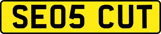 SE05CUT