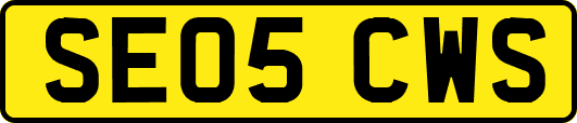 SE05CWS