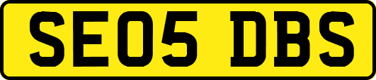 SE05DBS