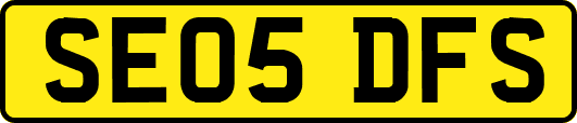 SE05DFS