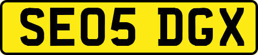 SE05DGX