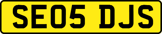 SE05DJS