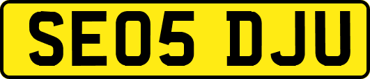 SE05DJU