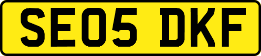 SE05DKF
