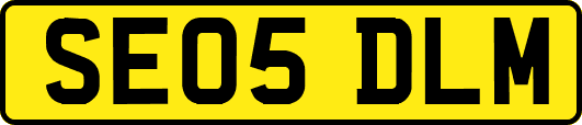 SE05DLM