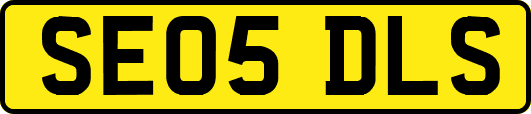 SE05DLS