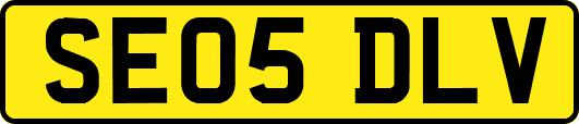 SE05DLV