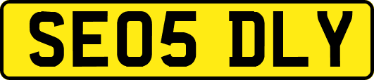 SE05DLY
