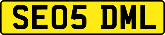 SE05DML