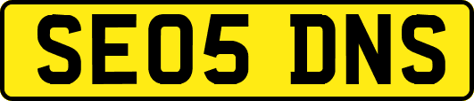 SE05DNS