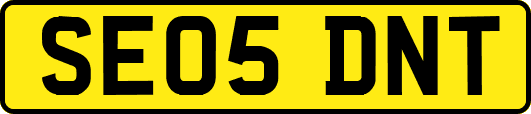 SE05DNT