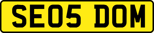 SE05DOM