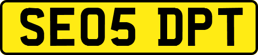 SE05DPT
