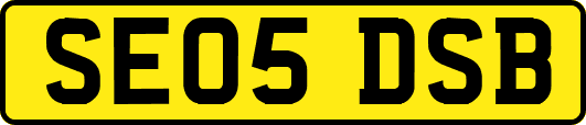 SE05DSB