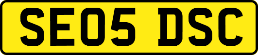 SE05DSC