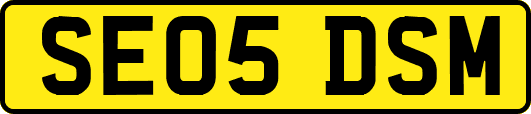 SE05DSM