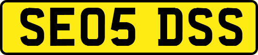 SE05DSS