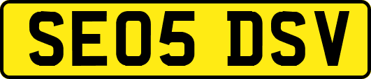 SE05DSV