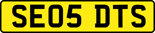 SE05DTS